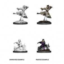 Wizkids - 龍與地下城未上色模型「人類女性武僧」 - D&D - Nolzur's Marvelous Miniatures - Female Human Monk - 90008（NT 180）