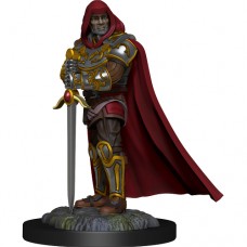 WizKids - 龍與地下城未上色模型「人類男性聖騎士」 - D&D - Nolzur's Marvelous Miniatures - Human Paladin Male - 90136（NT 180）