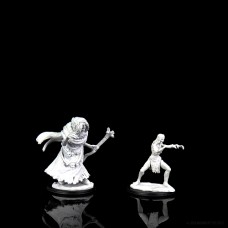 WizKids - 龍與地下城未上色模型「海鬼婆與冬靈鬼婆」 - D&D - Nolzur's Marvelous Miniatures - Sea Hag & Bheur Hag - 90072（NT 180）