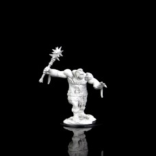 Wizkids - 龍與地下城未上色模型「食人魔殭屍」 - D&D - Nolzur's Marvelous Miniatures - Ogre Zombie - 90088（NT 320）