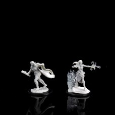 Wizkids - 龍與地下城未上色模型「多重職業女性邪術師/術士」 - D&D - Nolzur's Marvelous Miniatures - Multiclass Warlock & Sorcerer Female - 90149（NT 180）