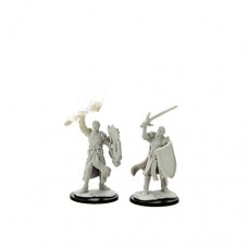 WizKids - 龍與地下城未上色模型 - 「男性半精靈聖騎士」 - D&D Nolzur's Marvelous Miniatures: Half-Elf Paladin Male（NT 180）90230