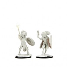 WizKids - 龍與地下城未上色模型 - 「男性變形怪牧師」 - D&D Nolzur's Marvelous Miniatures: Changeling Cleric Male（NT 180）90237 (絕版)