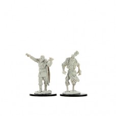 WizKids - 龍與地下城未上色模型 - 「稻草人和被詛咒的石像」 - D&D Nolzur's Marvelous Miniatures: Scarecrow & Stone Cursed（NT 180）90241