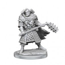 WizKids - 龍與地下城 - 組裝模型 - 「男性人類戰士」D&D Frameworks: Human Fighter Male 75013 (NT 500元)