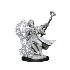 WizKids - 龍與地下城 - 組裝模型 - 「男性人類法師」D&D Frameworks: Human Wizard Male 75030 (NT 500元)