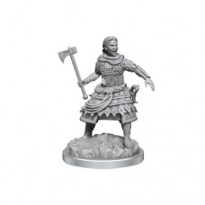 WizKids - 龍與地下城未上色模型 - 「人類戰士」 D&D - Nolzur's Marvelous Miniatures - Human Fighters - 90639 (絕版)