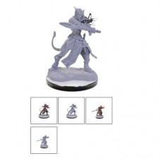 WizKids - 龍與地下城 - 未上色模型 - D&D Nolzur's Marvelous Miniatures: Tiefling Warlocks魔人術士 - 90670(NT.180)