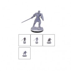 WizKids - 龍與地下城 - 未上色模型 - D&D Nolzur's Marvelous Miniatures: Reborn Paladin & Warlock重生聖騎士&術士 - 90673(NT.180)